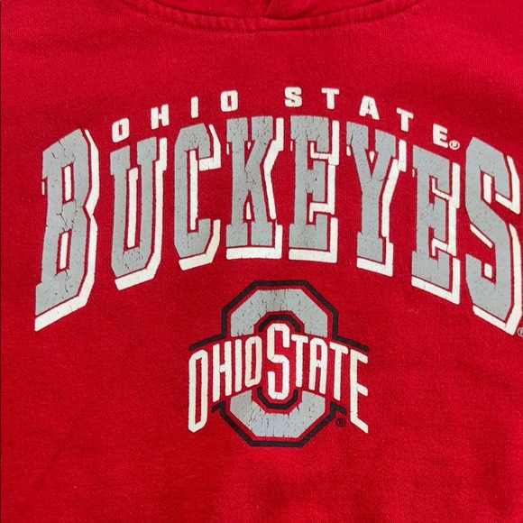 Boys Ohio State Buckeyes Red Hoodie – Size Large 14/18 - Picture 3 of 5